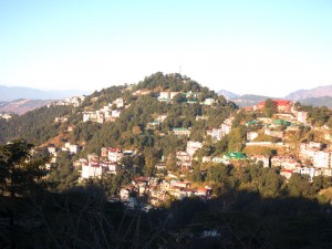 Shimla