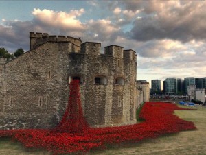 Poppies at the Tower of London